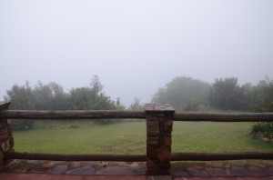 20120309-183123.jpg