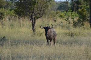 20120309-225908.jpg
