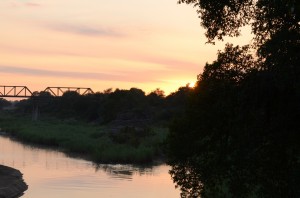 20120310-094430.jpg