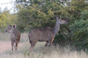 20120310-094926.jpg