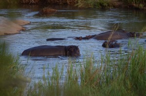 20120310-095721.jpg