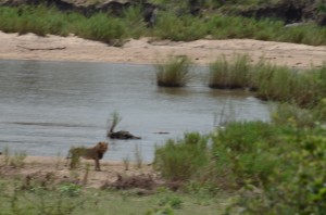 20120310-102616.jpg
