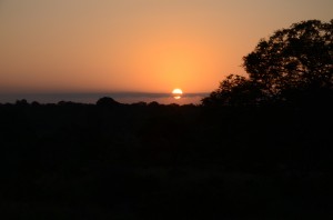 20120313-181400.jpg