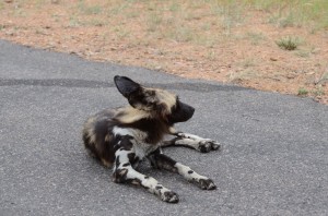 20120313-181937.jpg