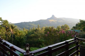 20120313-182330.jpg