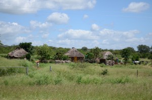 20120315-182346.jpg