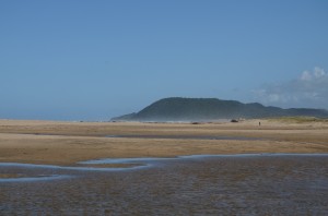 20120317-192451.jpg
