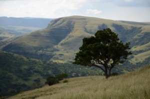 20120318-201240.jpg