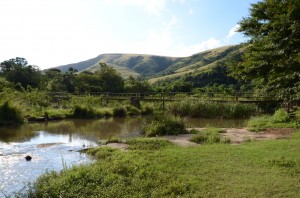 20120318-201309.jpg