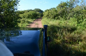 20120318-202053.jpg