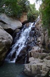 20120318-221449.jpg