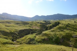 20120318-221531.jpg