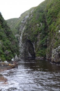 20120321-223724.jpg
