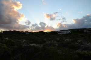20120321-223837.jpg