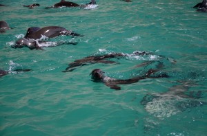 20120321-224759.jpg
