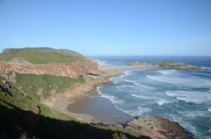20120321-224903.jpg