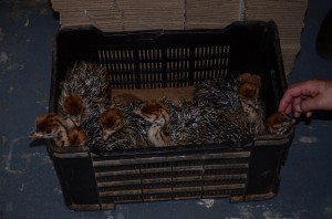 20120321-230314.jpg