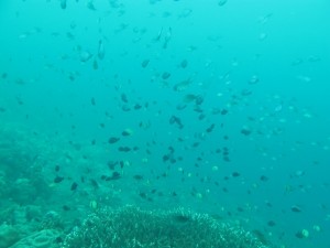 20130305-145146.jpg