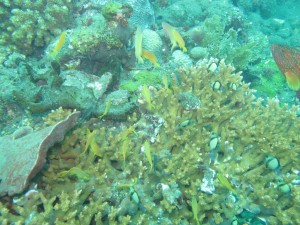 20130305-145245.jpg