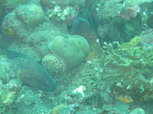 20130305-145910.jpg