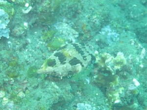 20130305-150032.jpg