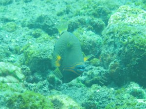 20130305-150132.jpg