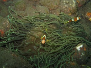 20130305-150411.jpg