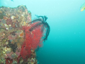 20130305-150556.jpg