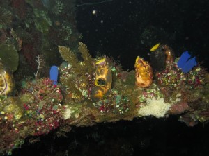 20130305-150718.jpg