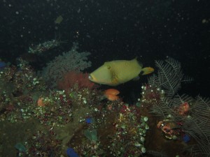 20130305-150840.jpg