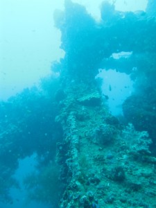 20130306-111043.jpg