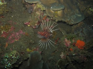 20130306-111131.jpg
