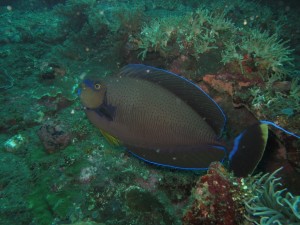 20130306-111215.jpg
