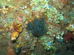 20130306-111322.jpg