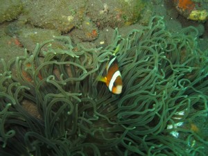 20130306-111425.jpg