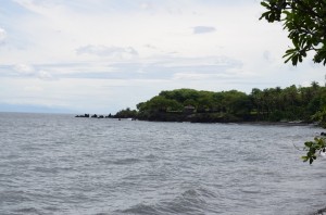 20130306-111536.jpg