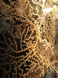 20130306-111609.jpg