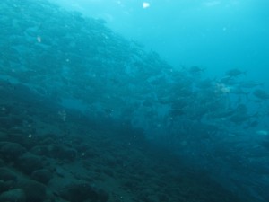 20130306-111833.jpg