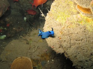 20130307-150431.jpg