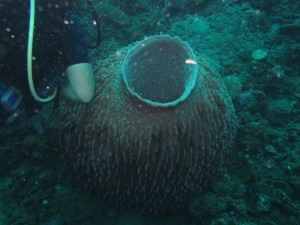 20130307-150607.jpg