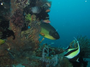 20130307-150654.jpg