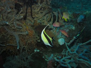 20130307-150709.jpg