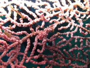20130307-150845.jpg