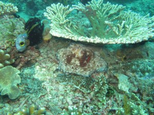 20130308-143244.jpg