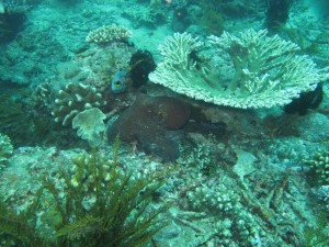 20130308-143323.jpg