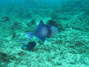 20130308-143511.jpg