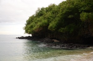 20130308-143928.jpg