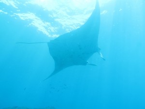 20130311-103504.jpg