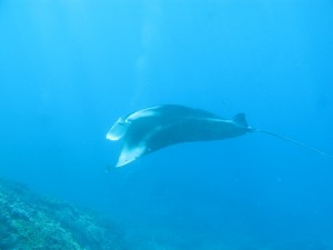 20130311-103519.jpg