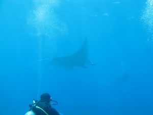 20130311-103552.jpg